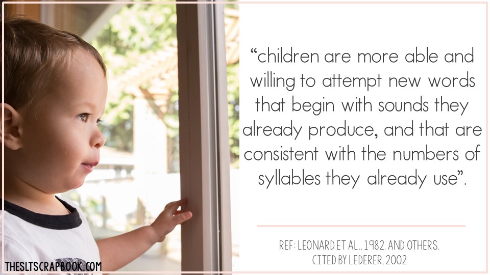 On the left of the picture there is a young boy looking out of the window. On the right side of the picture there is a quote from the blog post about choosing vocabulary for late talkers. The text reads "children are more willing to attempt new words that begin with sounds they can already produce and that are consistent with the number of syllables they already use"..